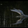 20060421_126